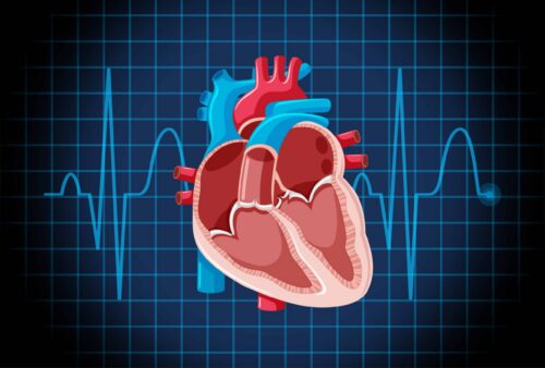 Coronary Microvascular Dysfunction: When Symptoms Persist, Answers Matter